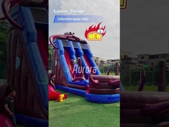 Bạch tuộc Bánh trượt nước bơm nhỏ Bể bơi sân sau Bánh trượt nước bơm bán