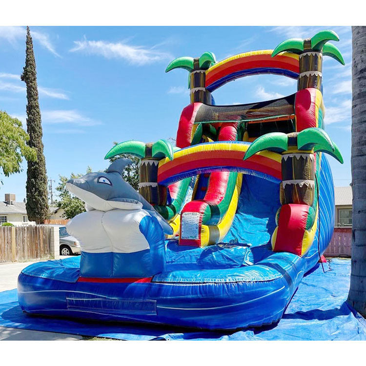Nước bơm trượt trượt nhảy trượt Pvc 18ft Dolphin nước trượt cho hồ bơi