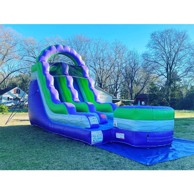 Park Giant Inflatable Water Slide cho người lớn sân chơi ngoài trời dành cho trẻ em